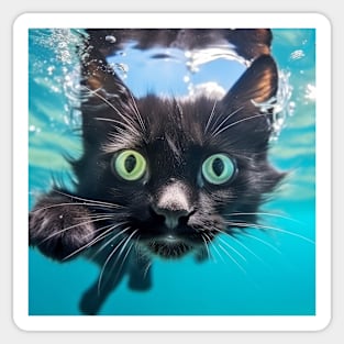 Cat Pet Animal Fun Playing Water Outdoor Sticker